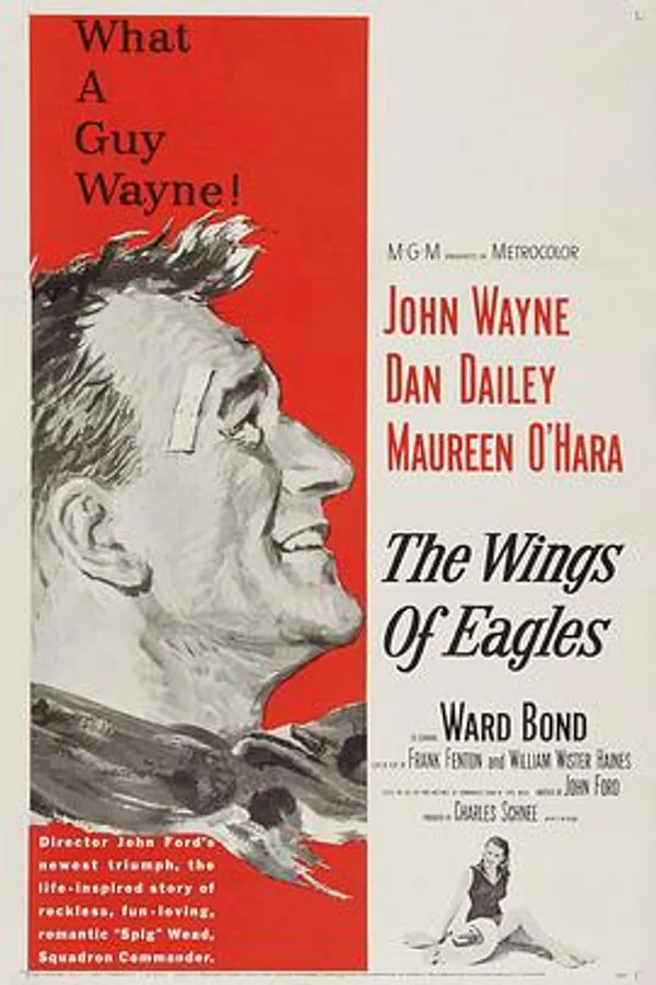 碧血溅长空 The Wings of Eagles