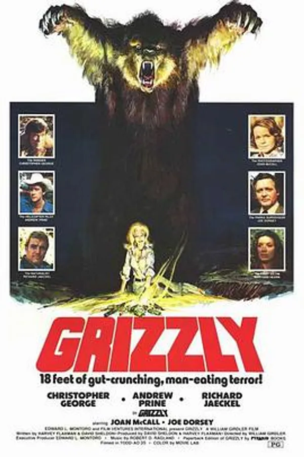 大灰熊 Grizzly