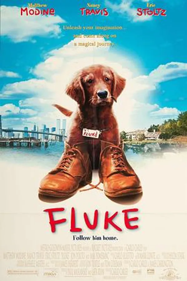 再世人狗缘 Fluke
