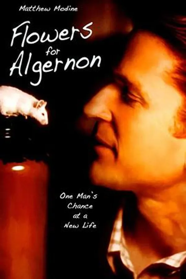 献给阿尔吉侬的花束 Flowers for Algernon