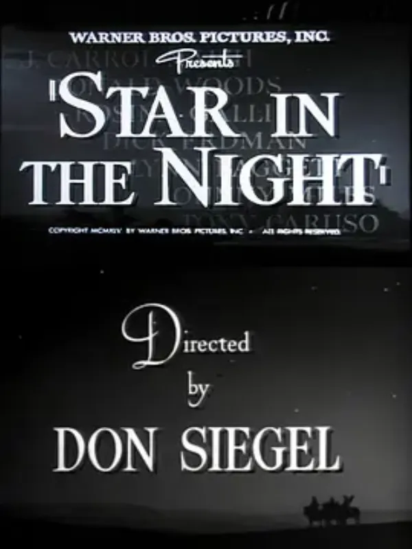 夜空之星 Star in the Night