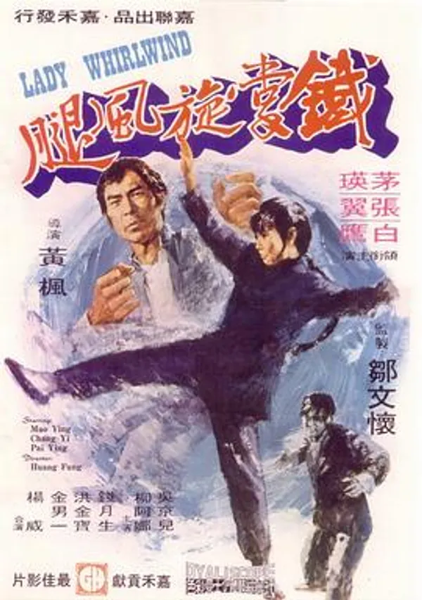铁掌旋风腿 鐵掌旋風腿
