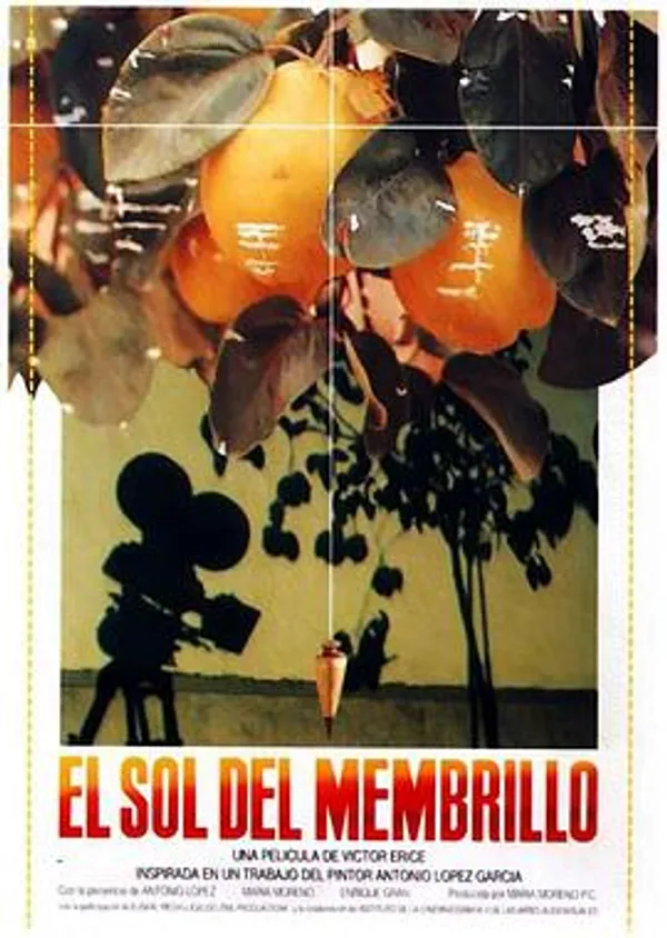 榅桲树阳光 El sol del membrillo