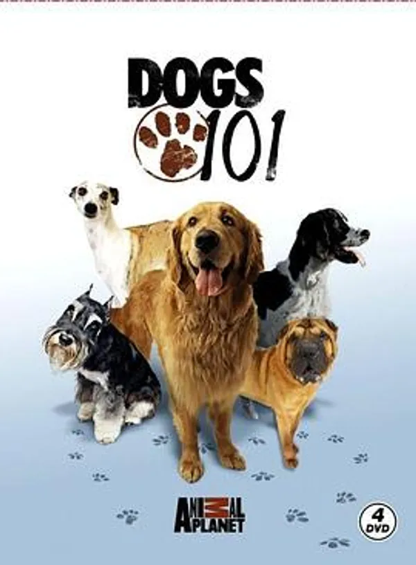 狗狗全纪录 第一季 Dogs 101