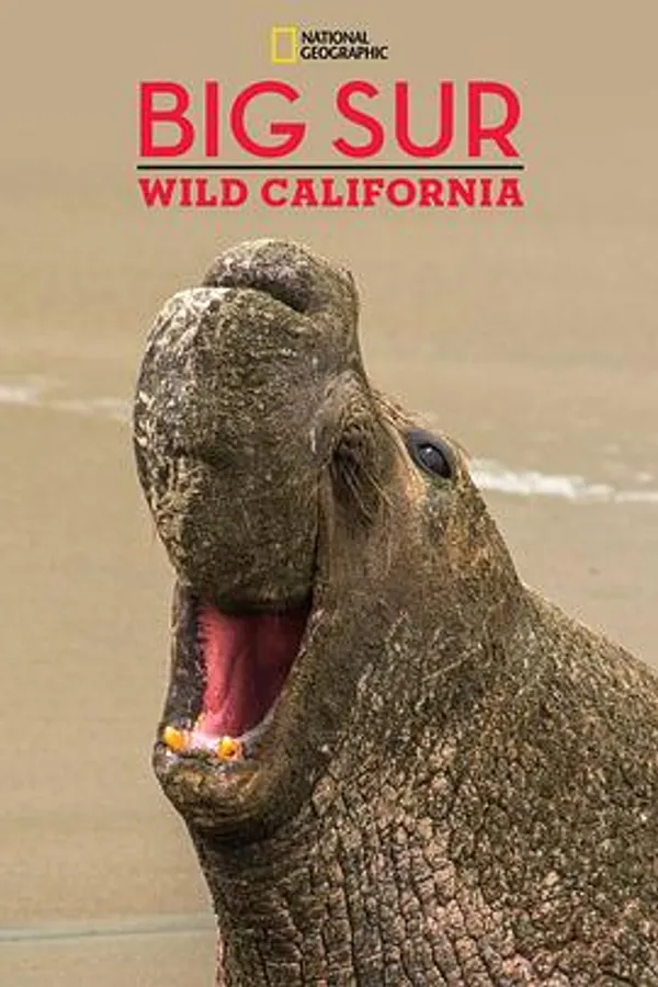 国家地理探索者：加尼福利亚大索尔海岸线 National Geographic Explorer: Big Sur Wild California
