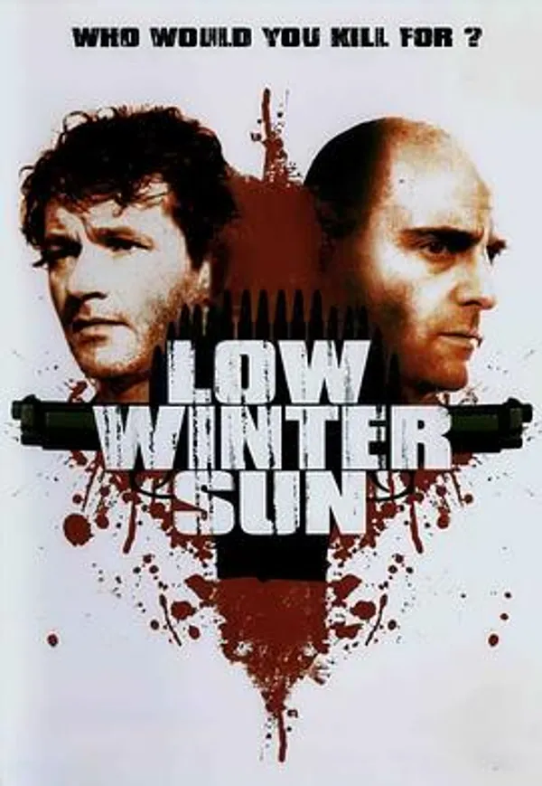 冬日斜阳 Low Winter Sun