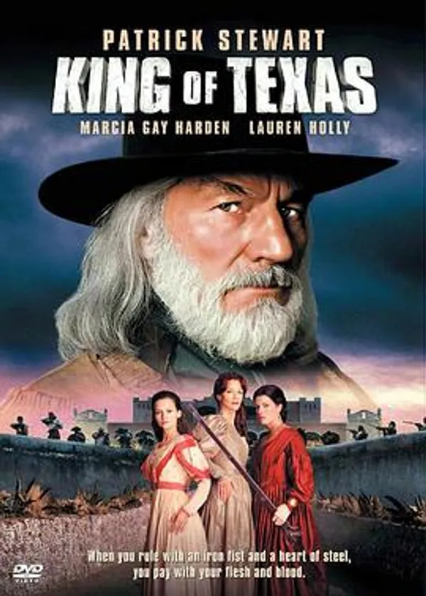 天惩无情 King of Texas