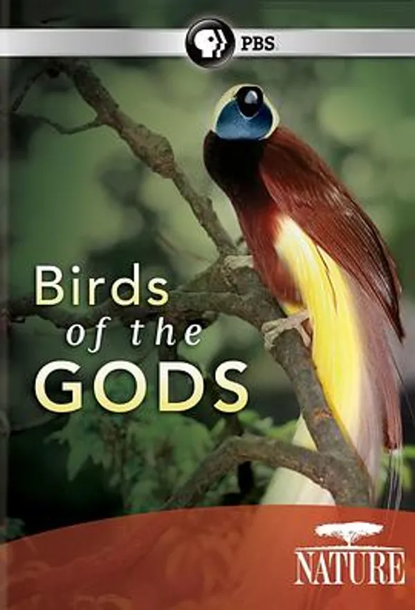 天堂鸟 Nature: Birds of the Gods