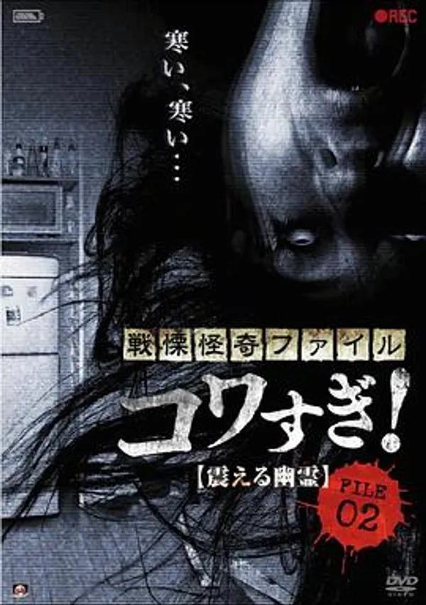 战栗怪奇：惊吓! FILE-02 颤动的幽灵