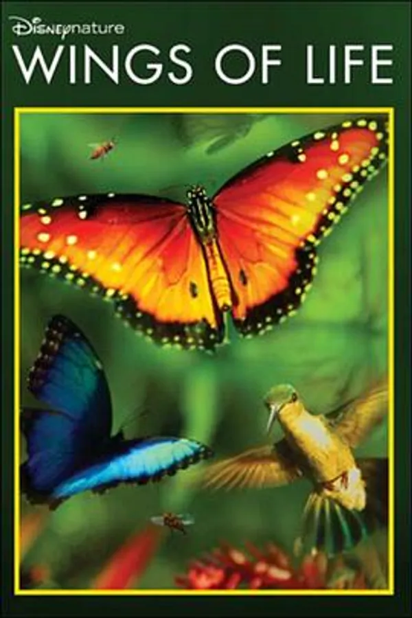 生命之翼 Wings of Life