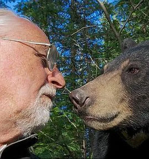 自然世界：被悬赏的熊 Natural World: A Bear with a Bounty