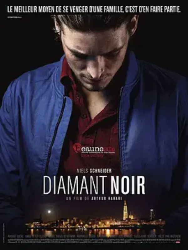 黑钻石 Diamant noir
