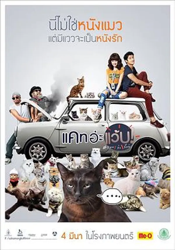 擅离职守的猫咪 Cat อ่ะ แว๊บ!