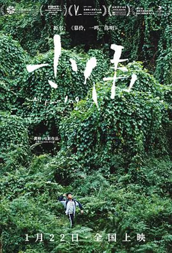 小伟 