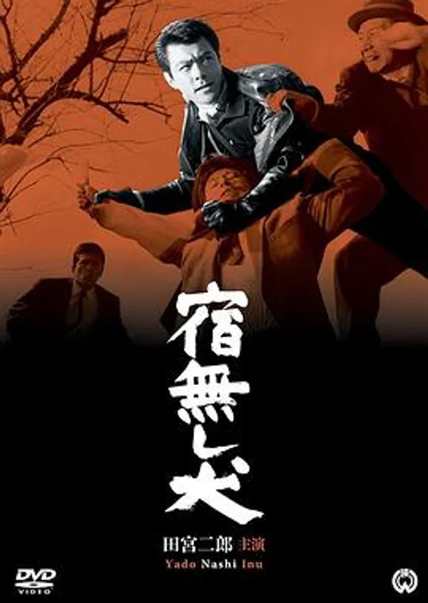 宿无犬