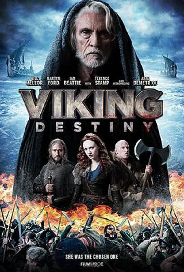 维京命运 Viking Destiny