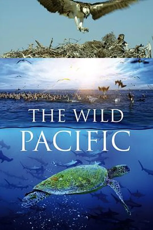 狂野太平洋 The Wild Pacific