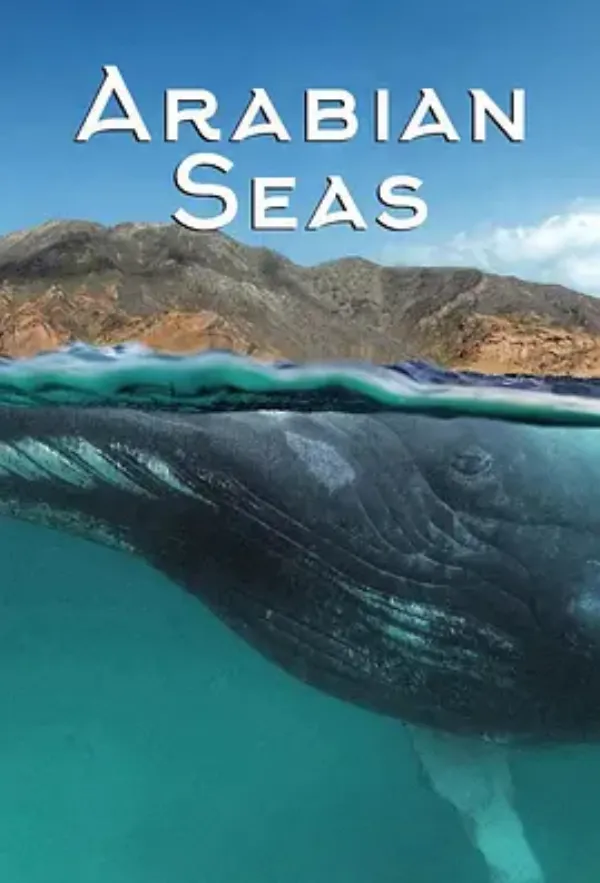 阿拉伯海 第一季 Arabian Seas
