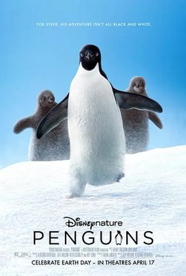 企鹅 Penguins