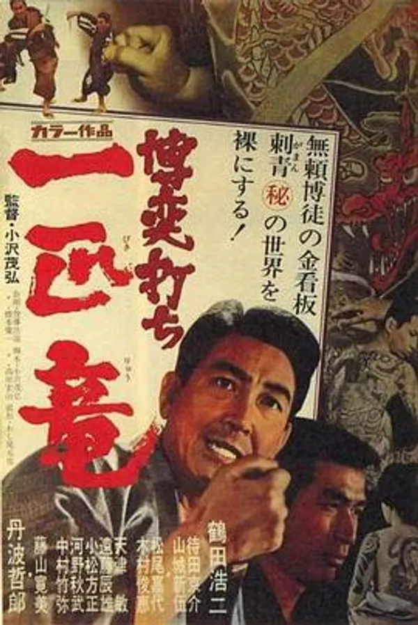 赌徒：独龙
