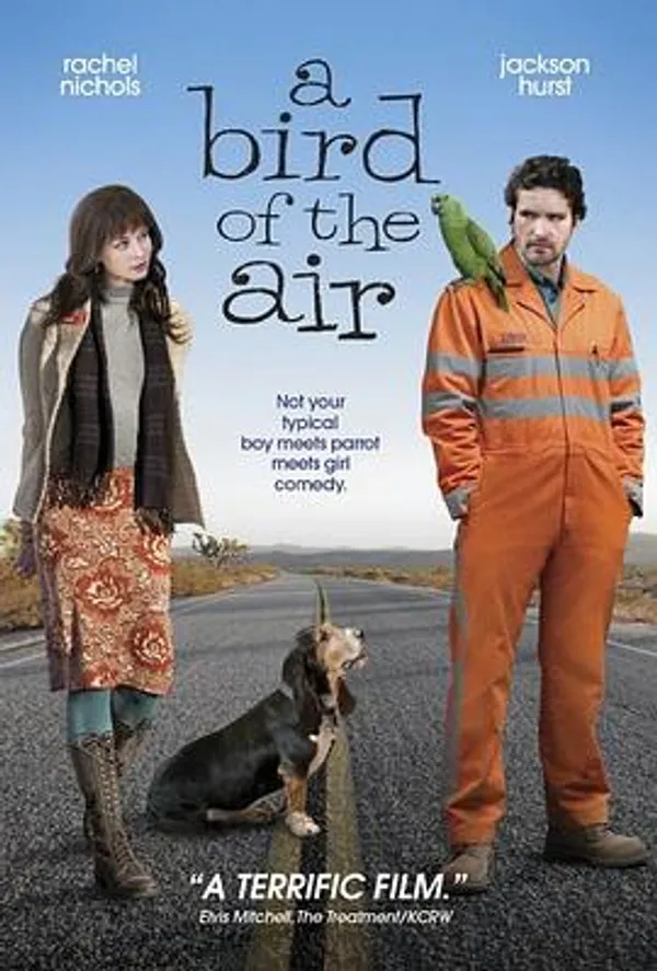 空中的飞鸟 A Bird of the Air