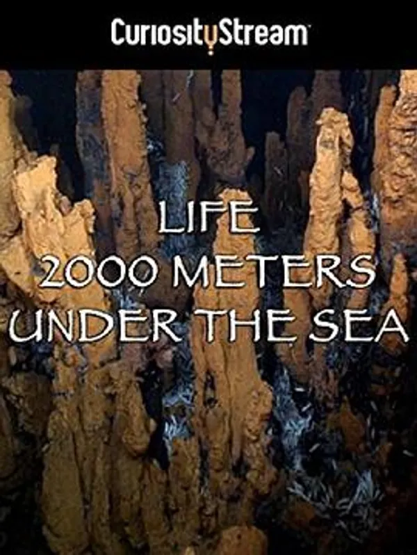 两千米深海生命 Life 2000 Meters Under The Sea