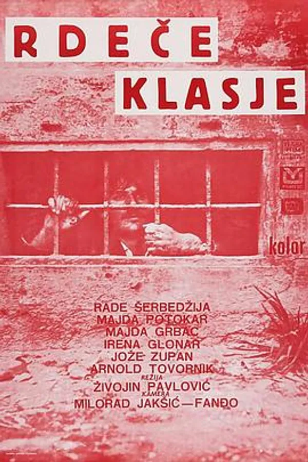 红麦子 Rdece klasje