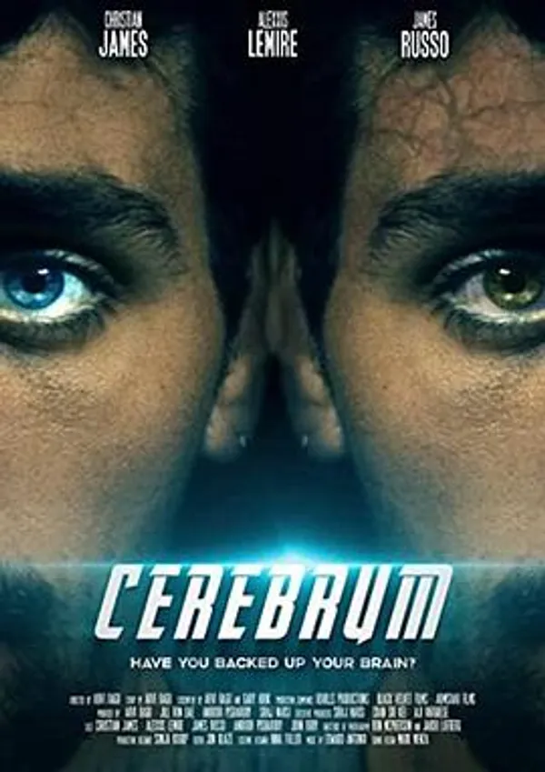 记忆误区 Cerebrum