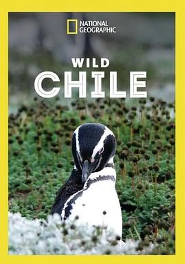 狂野智利 Wild Chile