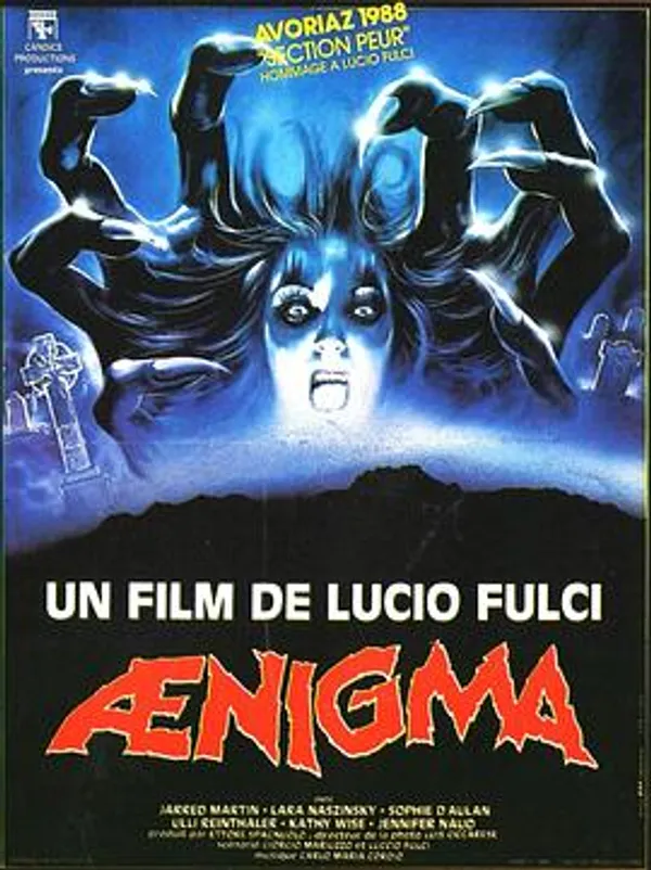 复仇之谜 Aenigma