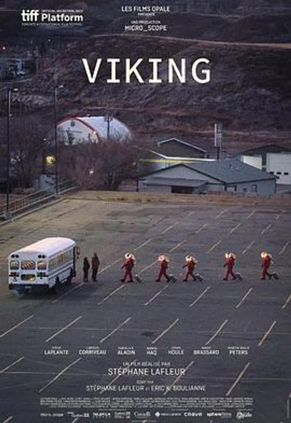 维金探测器 Viking