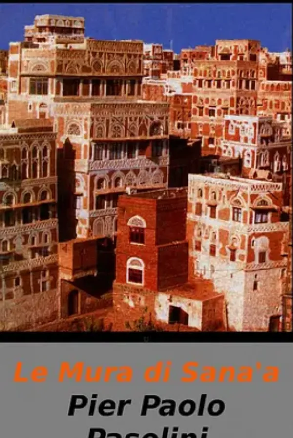 萨那的城墙 Le mura di Sana'a