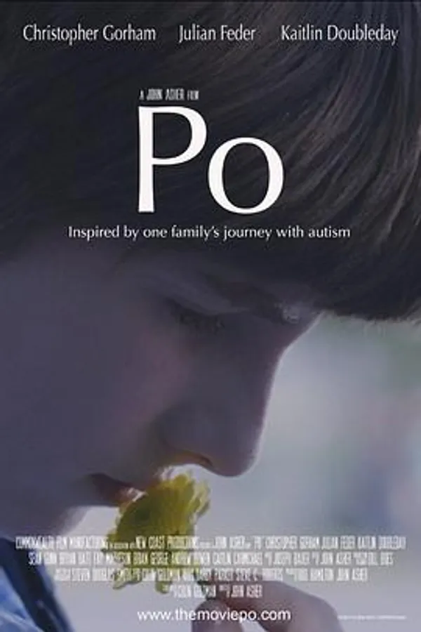 一个叫阿宝的男孩 A Boy Called Po