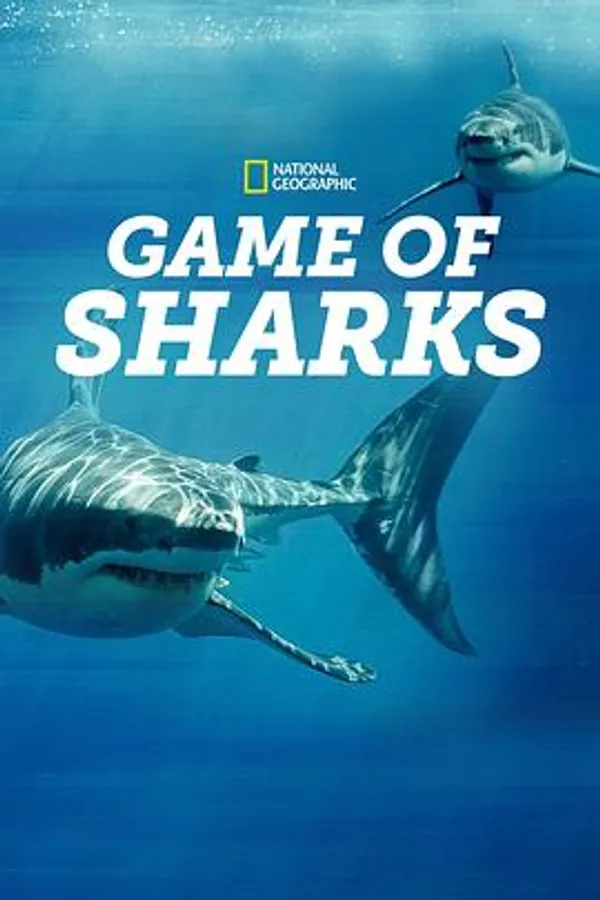 鲨鱼争霸战 Game of Sharks