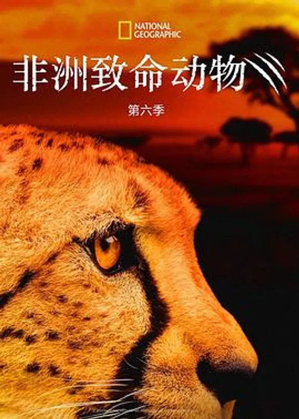 非洲致命动物 第六季