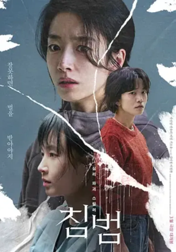 侵犯 침범