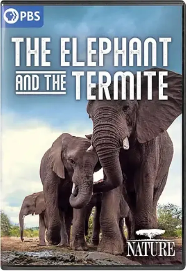 大象和白蚁 The Elephant and the Termite