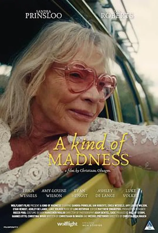 某种疯狂 A Kind of Madness