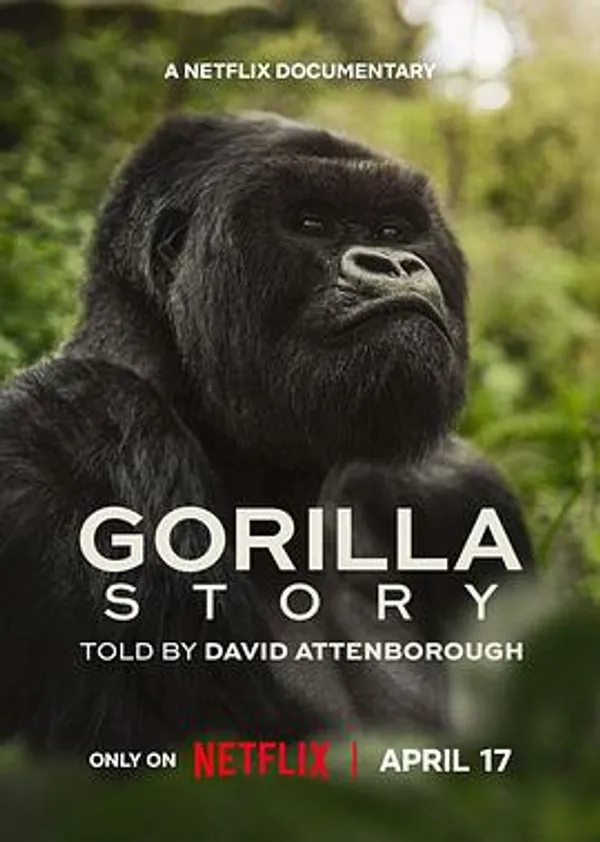 大卫·爱登堡：大猩猩的故事 A Gorilla Story: Told by David Attenborough