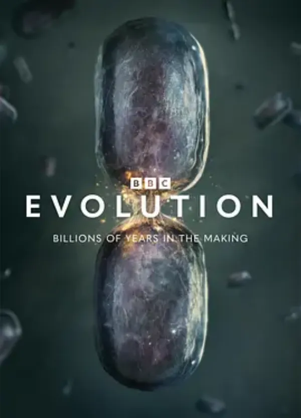 演化 第一季 Evolution