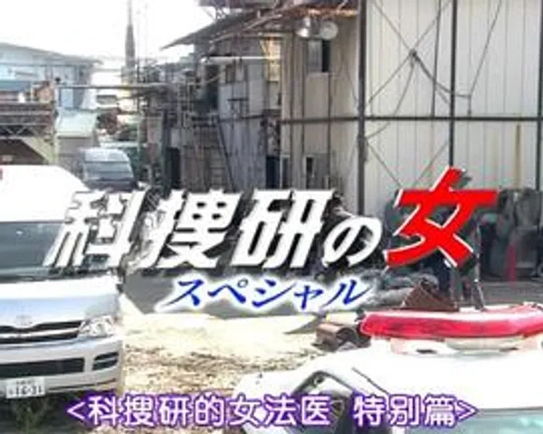科捜研之女2011特别篇