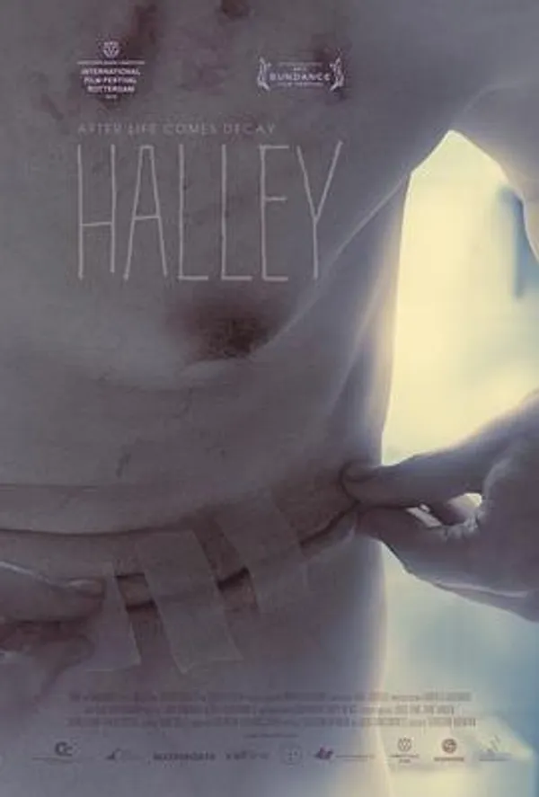 哈雷 Halley